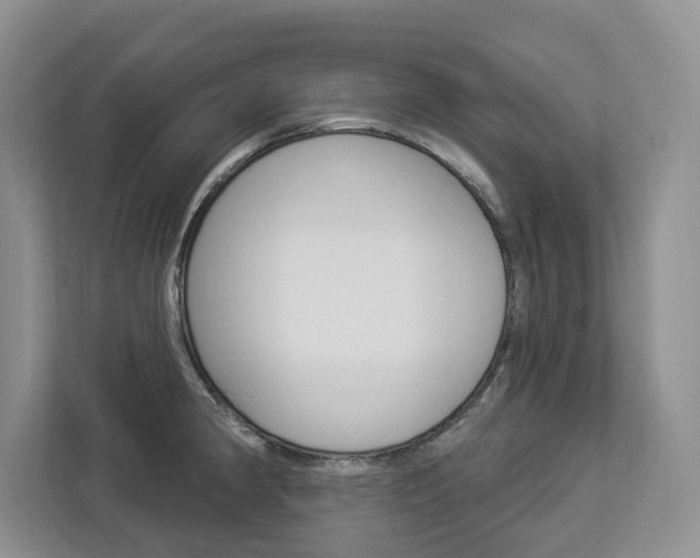 X0000112891190200908211024