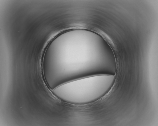 X0000112891192200908211024