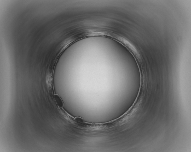 X0000112891193200908211024