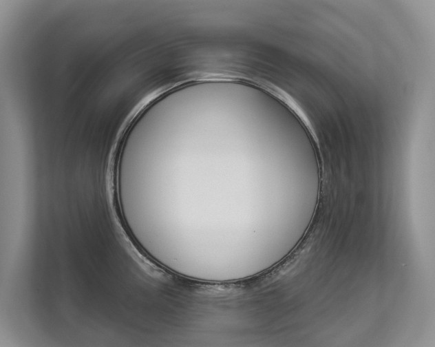 X0000112891195200908211024