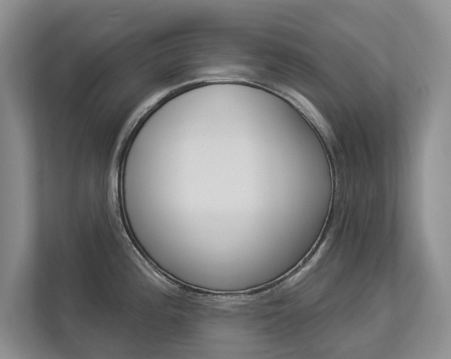 X0000112891196200908211024