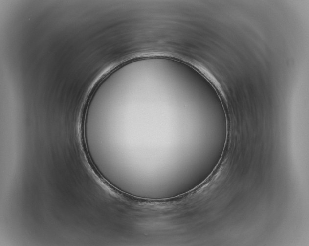 X0000112891197200908211024