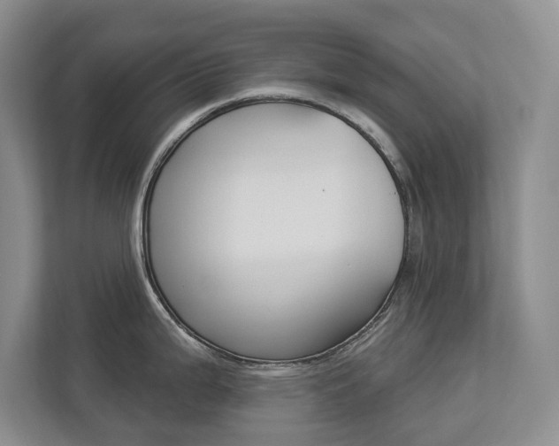 X0000112891199200908211024