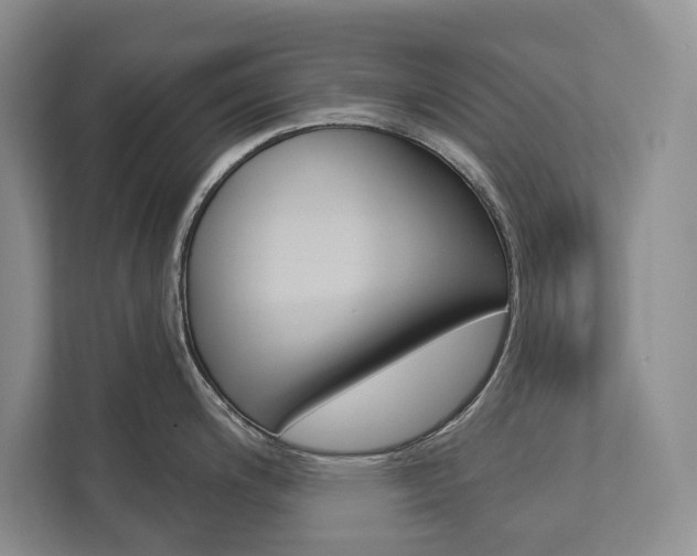 X0000112891200200908211024