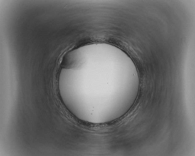 X0000112891201200908211023