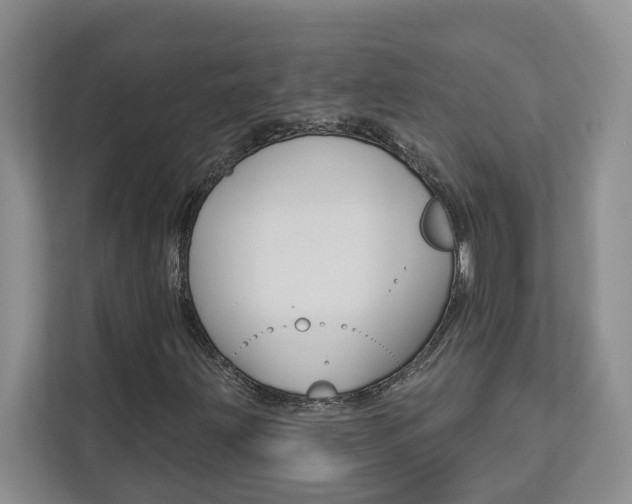 X0000112891203200908211023