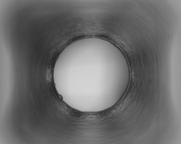 X0000112891204200908211023