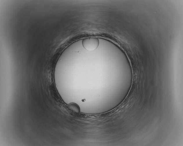 X0000112891205200908211023