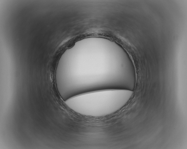 X0000112891206200908211023