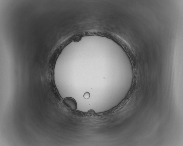 X0000112891207200908211023