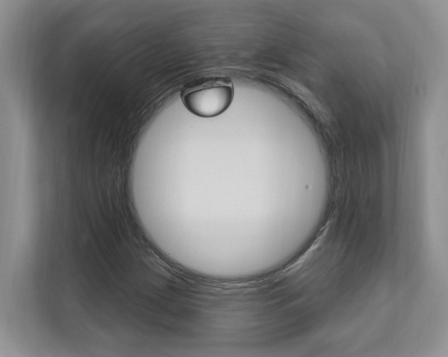 X0000112891209200908211023