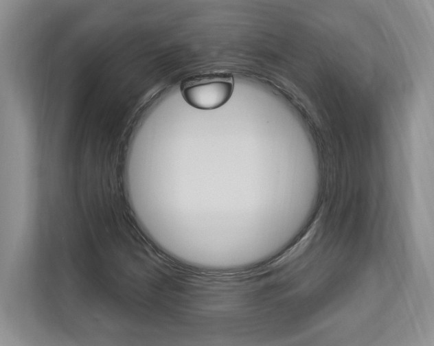 X0000112891210200908211023