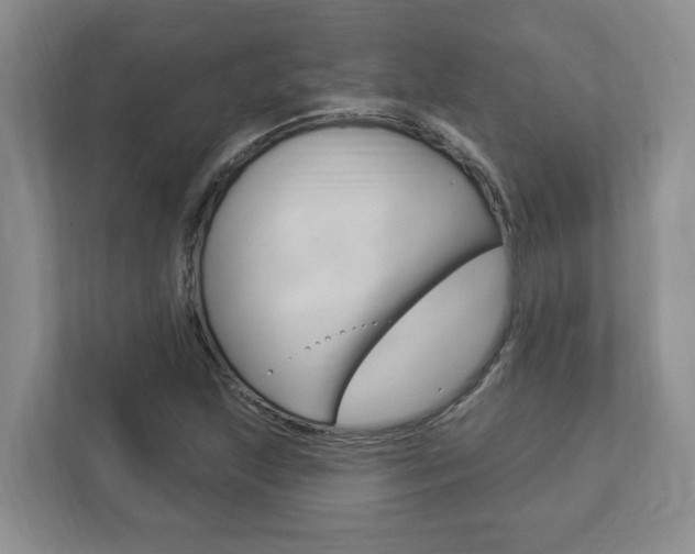 X0000112891215200908211023