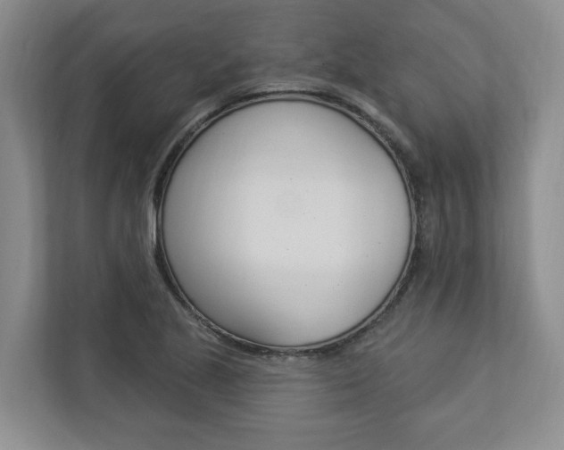 X0000112891221200908211023