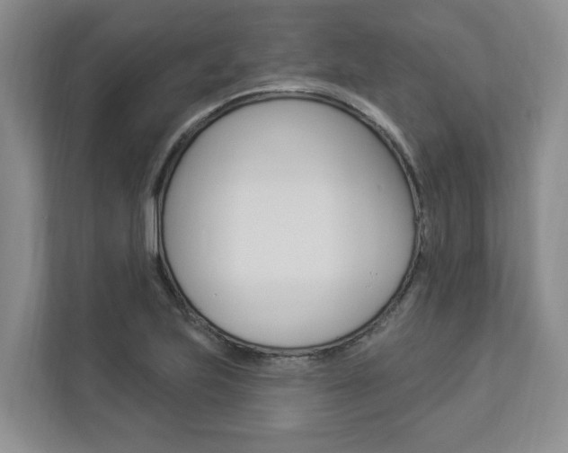 X0000112891223200908211023