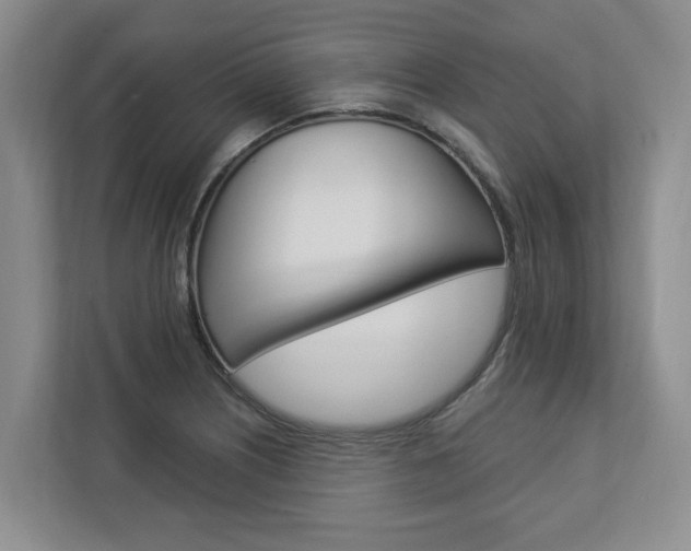 X0000112891226200908211023