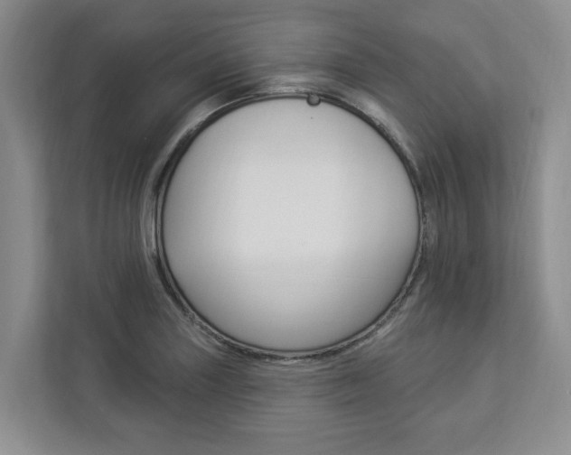 X0000112891227200908211023