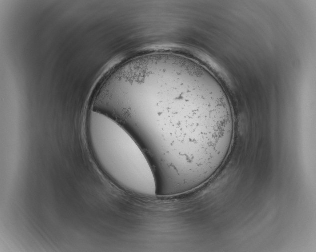 X0000112891229200908211024