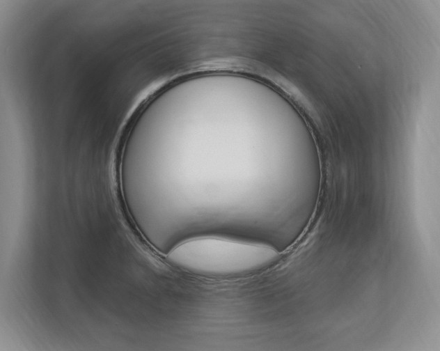 X0000112891230200908211024