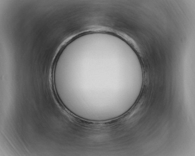 X0000112891231200908211024