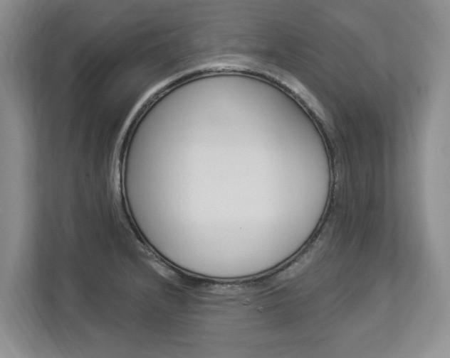 X0000112891232200908211024