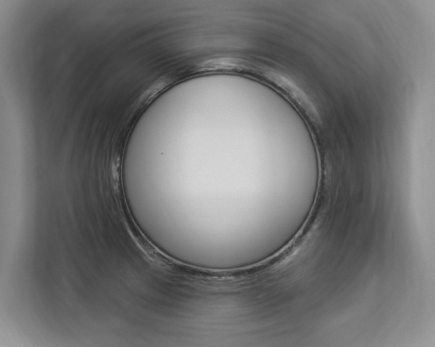 X0000112891233200908211024