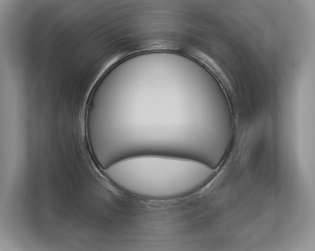 X0000112891236200908211024