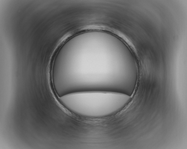 X0000112891237200908211024