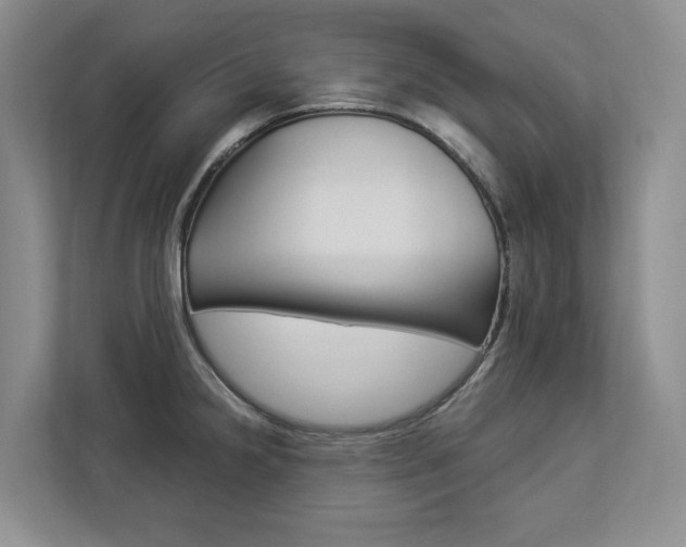 X0000112891238200908211024