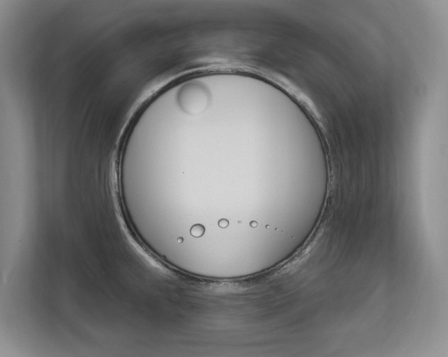 X0000112891239200908211024