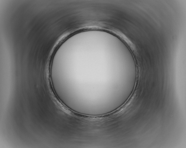 X0000112891240200908211024