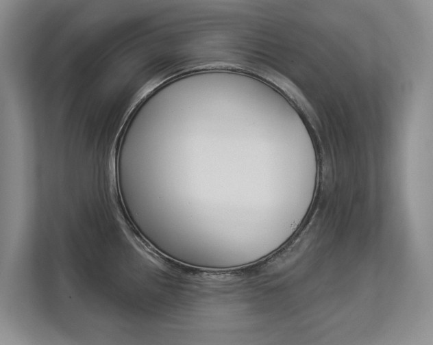 X0000112891242200908211024