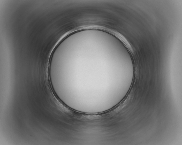 X0000112891244200908211024