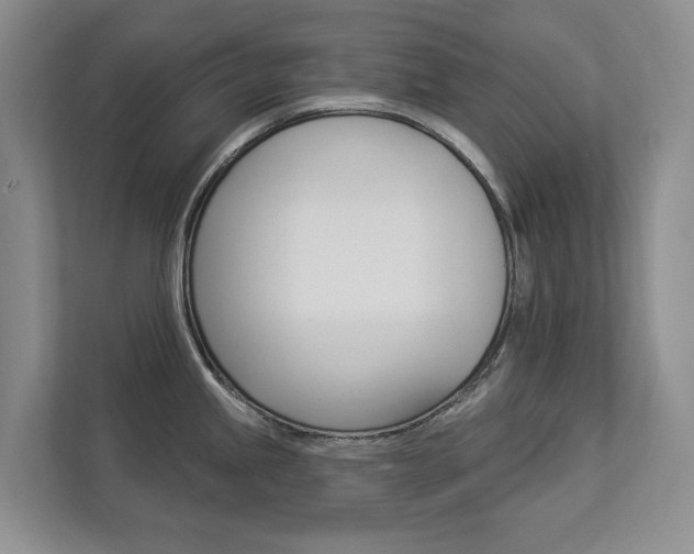 X0000112891245200908211024