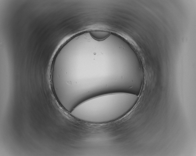 X0000112891248200908211024