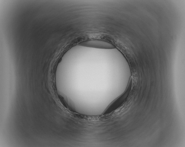 X0000112891249200908211023