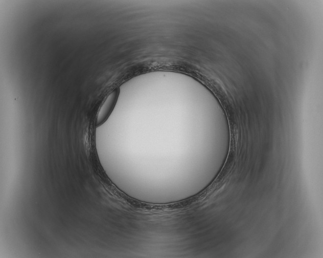 X0000112891250200908211023