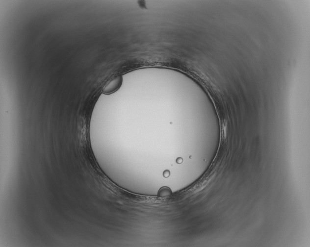 X0000112891251200908211023