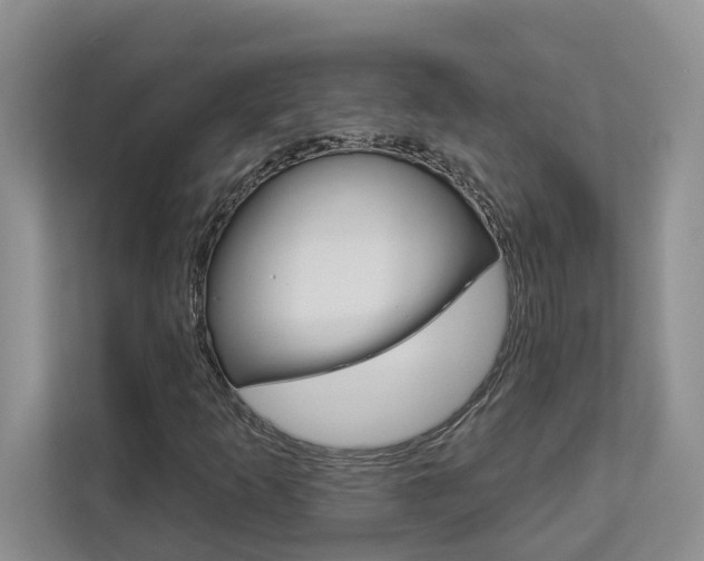 X0000112891253200908211023
