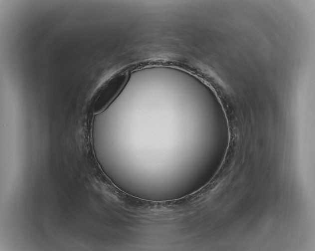 X0000112891256200908211023