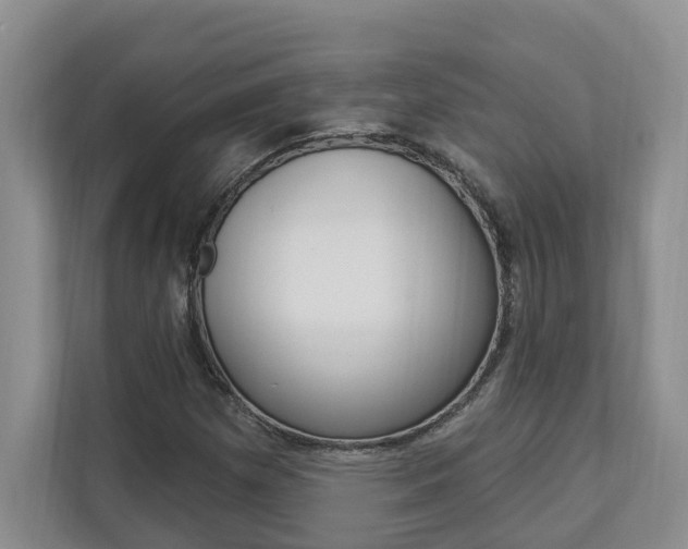 X0000112891257200908211023