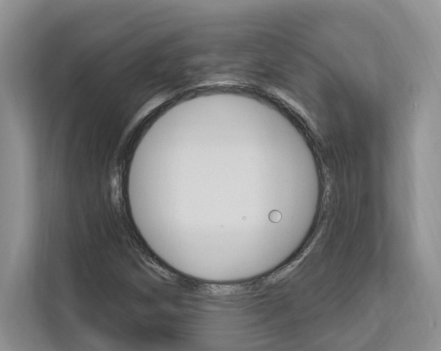 X0000112891258200908211023