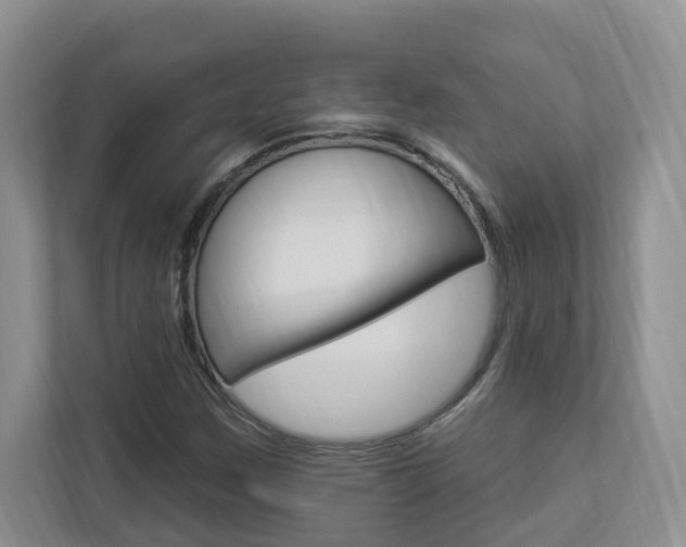 X0000112891259200908211023