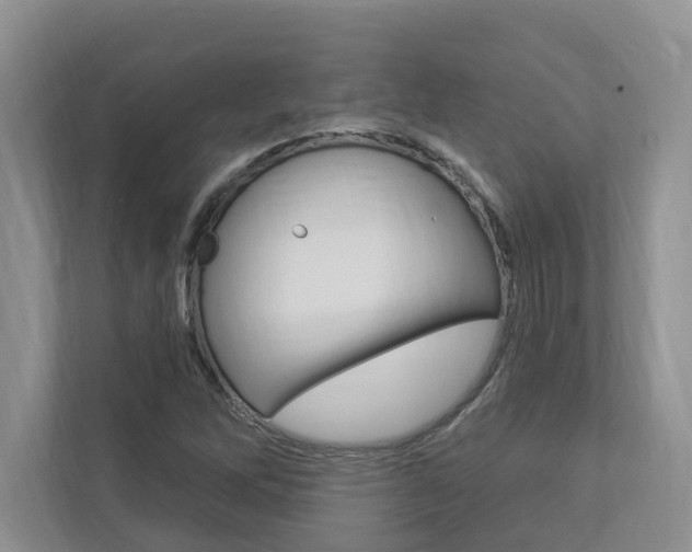 X0000112891262200908211023