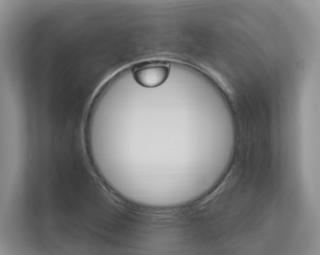 X0000112891264200908211023
