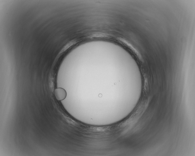 X0000112891266200908211023