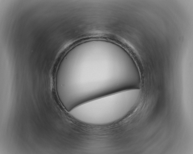 X0000112891267200908211023
