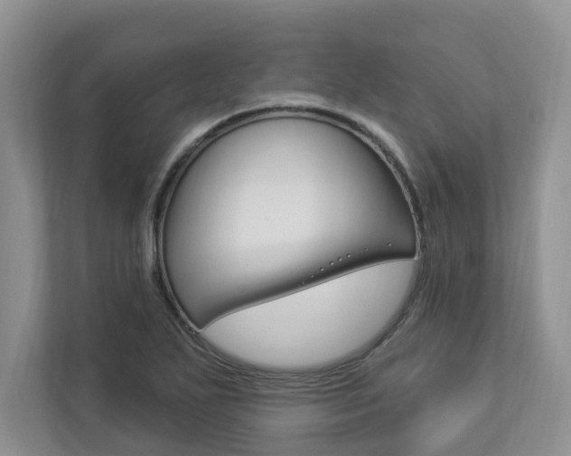 X0000112891271200908211023