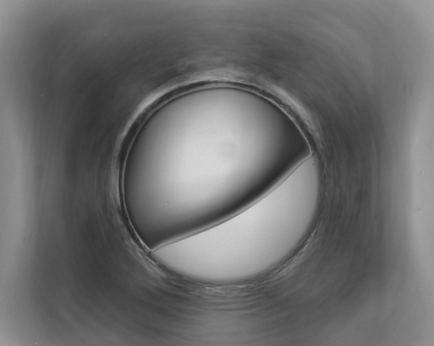 X0000112891272200908211023