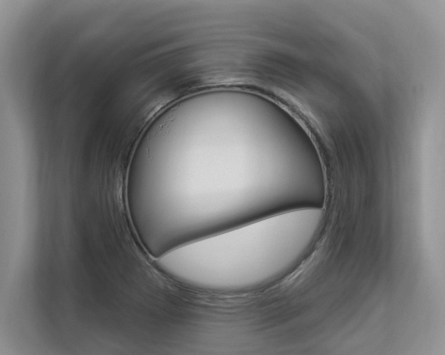 X0000112891273200908211023